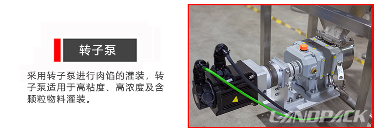 轉(zhuǎn)子泵 轉(zhuǎn)子泵