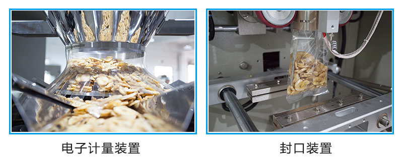 10頭電子組合稱 10頭電子組合稱